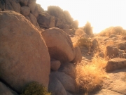 Filename=extant_StarTrek_VOY_5x13-Gravity_00654.jpg
Filesize=195KiB
Dimensions=1200x900
Date added=Nov 12, 2019 extant_StarTrek_VOY_5x13-Gravity_00654.jpg