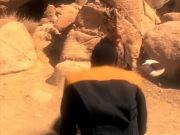 Filename=extant_StarTrek_VOY_5x13-Gravity_00724.jpg
Filesize=215KiB
Dimensions=1200x900
Date added=Nov 12, 2019 extant_StarTrek_VOY_5x13-Gravity_00724.jpg
