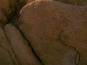Filename=extant_StarTrek_VOY_5x13-Gravity_01051.jpg
Filesize=156KiB
Dimensions=1200x900
Date added=Nov 12, 2019 extant_StarTrek_VOY_5x13-Gravity_01051.jpg