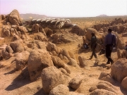 Filename=extant_StarTrek_VOY_5x13-Gravity_01074.jpg
Filesize=314KiB
Dimensions=1200x900
Date added=Nov 12, 2019 extant_StarTrek_VOY_5x13-Gravity_01074.jpg
