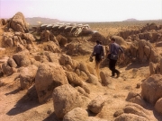 Filename=extant_StarTrek_VOY_5x13-Gravity_01077.jpg
Filesize=318KiB
Dimensions=1200x900
Date added=Nov 12, 2019 extant_StarTrek_VOY_5x13-Gravity_01077.jpg