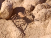 Filename=extant_StarTrek_VOY_5x13-Gravity_01334.jpg
Filesize=284KiB
Dimensions=1200x900
Date added=Nov 12, 2019 extant_StarTrek_VOY_5x13-Gravity_01334.jpg