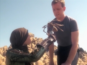 Filename=extant_StarTrek_VOY_5x13-Gravity_01341.jpg
Filesize=182KiB
Dimensions=1200x900
Date added=Nov 12, 2019 extant_StarTrek_VOY_5x13-Gravity_01341.jpg