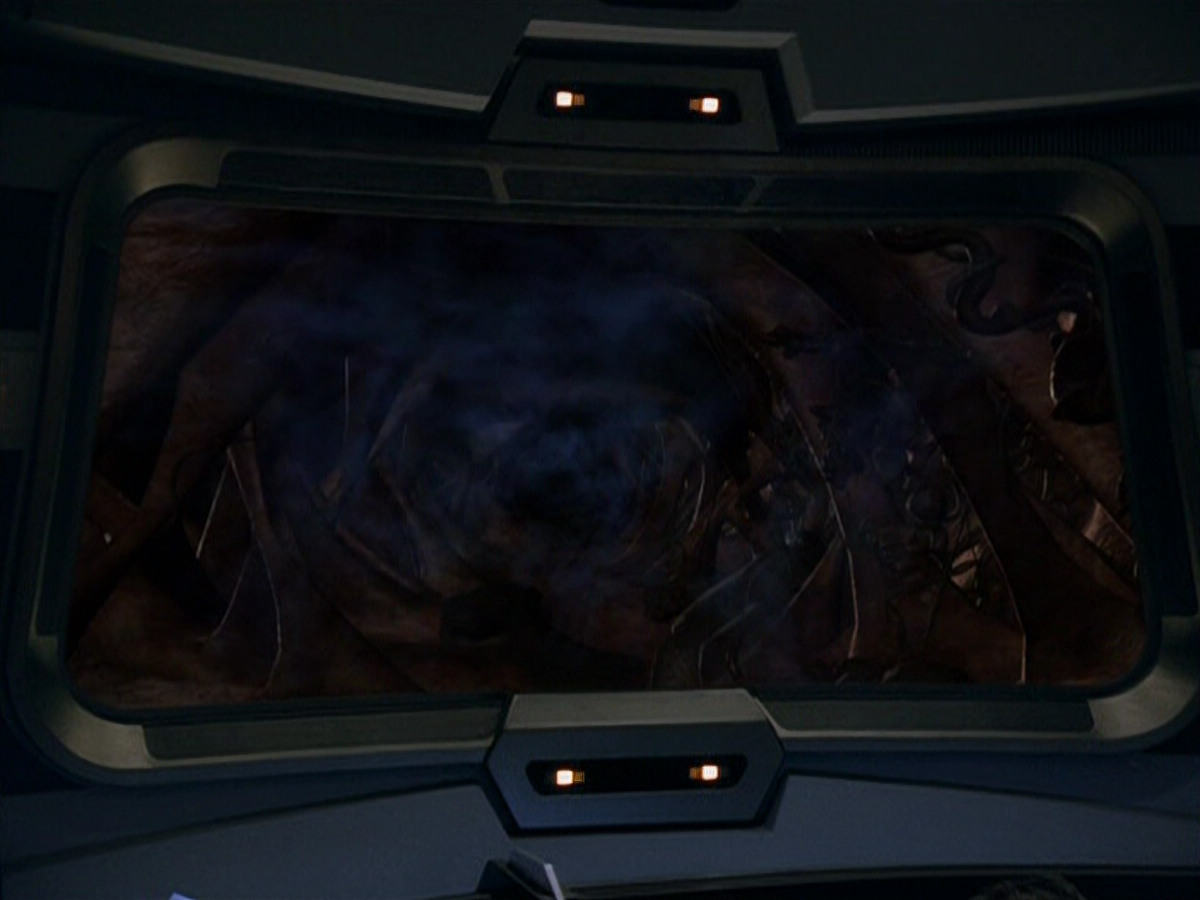 extant_StarTrek_VOY_5x14-Bliss_01968.jpg