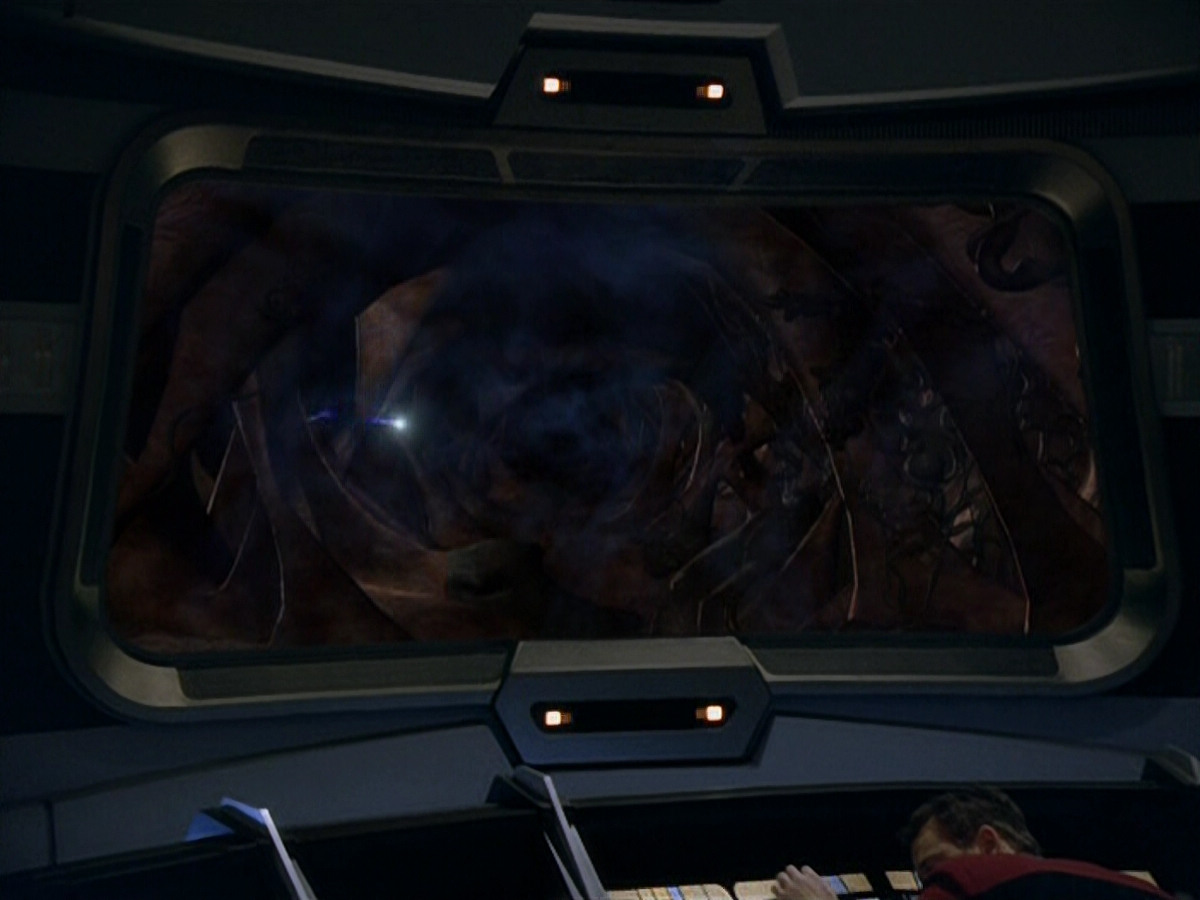 extant_StarTrek_VOY_5x14-Bliss_01971.jpg