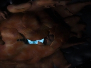 Filename=extant_StarTrek_VOY_5x14-Bliss_03557.jpg
Filesize=133KiB
Dimensions=1200x900
Date added=Nov 20, 2019 extant_StarTrek_VOY_5x14-Bliss_03557.jpg