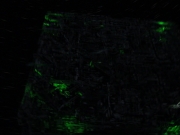 Filename=ariane179254_StarTrekVoyager_5x15_5x16_DarkFrontier_5497.jpg
Filesize=111KiB
Dimensions=1200x900
Date added=Apr 01, 2016 ariane179254_StarTrekVoyager_5x15_5x16_DarkFrontier_5497.jpg