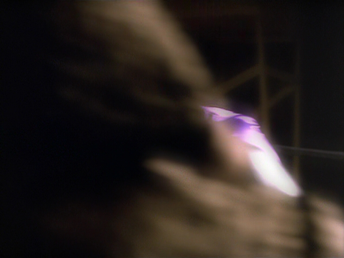 extant_StarTrek_VOY_5x19-TheFight_03378.jpg
