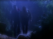 Filename=extant_StarTrek_VOY_5x19-TheFight_01727.jpg
Filesize=120KiB
Dimensions=1200x900
Date added=Nov 21, 2019 extant_StarTrek_VOY_5x19-TheFight_01727.jpg
