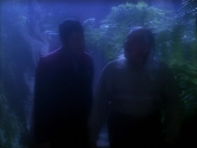 Filename=extant_StarTrek_VOY_5x19-TheFight_01735.jpg
Filesize=122KiB
Dimensions=1200x900
Date added=Nov 21, 2019 extant_StarTrek_VOY_5x19-TheFight_01735.jpg