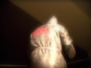 Filename=extant_StarTrek_VOY_5x19-TheFight_02238.jpg
Filesize=118KiB
Dimensions=1200x900
Date added=Nov 21, 2019 extant_StarTrek_VOY_5x19-TheFight_02238.jpg