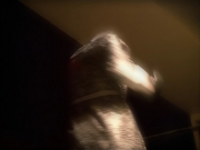 Filename=extant_StarTrek_VOY_5x19-TheFight_02239.jpg
Filesize=107KiB
Dimensions=1200x900
Date added=Nov 21, 2019 extant_StarTrek_VOY_5x19-TheFight_02239.jpg