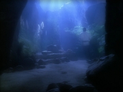 Filename=extant_StarTrek_VOY_5x19-TheFight_02478.jpg
Filesize=117KiB
Dimensions=1200x900
Date added=Nov 21, 2019 extant_StarTrek_VOY_5x19-TheFight_02478.jpg