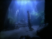 Filename=extant_StarTrek_VOY_5x19-TheFight_02498.jpg
Filesize=133KiB
Dimensions=1200x900
Date added=Nov 21, 2019 extant_StarTrek_VOY_5x19-TheFight_02498.jpg
