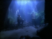 Filename=extant_StarTrek_VOY_5x19-TheFight_02580.jpg
Filesize=142KiB
Dimensions=1200x900
Date added=Nov 21, 2019 extant_StarTrek_VOY_5x19-TheFight_02580.jpg