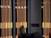 Filename=extant_StarTrek_VOY_5x19-TheFight_02991.jpg
Filesize=253KiB
Dimensions=1200x900
Date added=Nov 21, 2019 extant_StarTrek_VOY_5x19-TheFight_02991.jpg