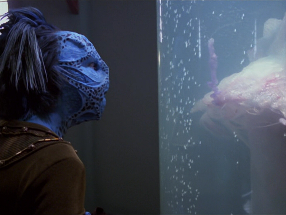 extant_StarTrek_VOY_5x20-ThinkTank_00055.jpg