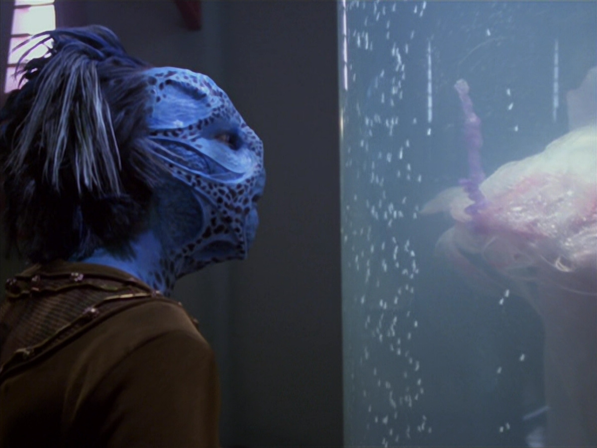 extant_StarTrek_VOY_5x20-ThinkTank_00056.jpg