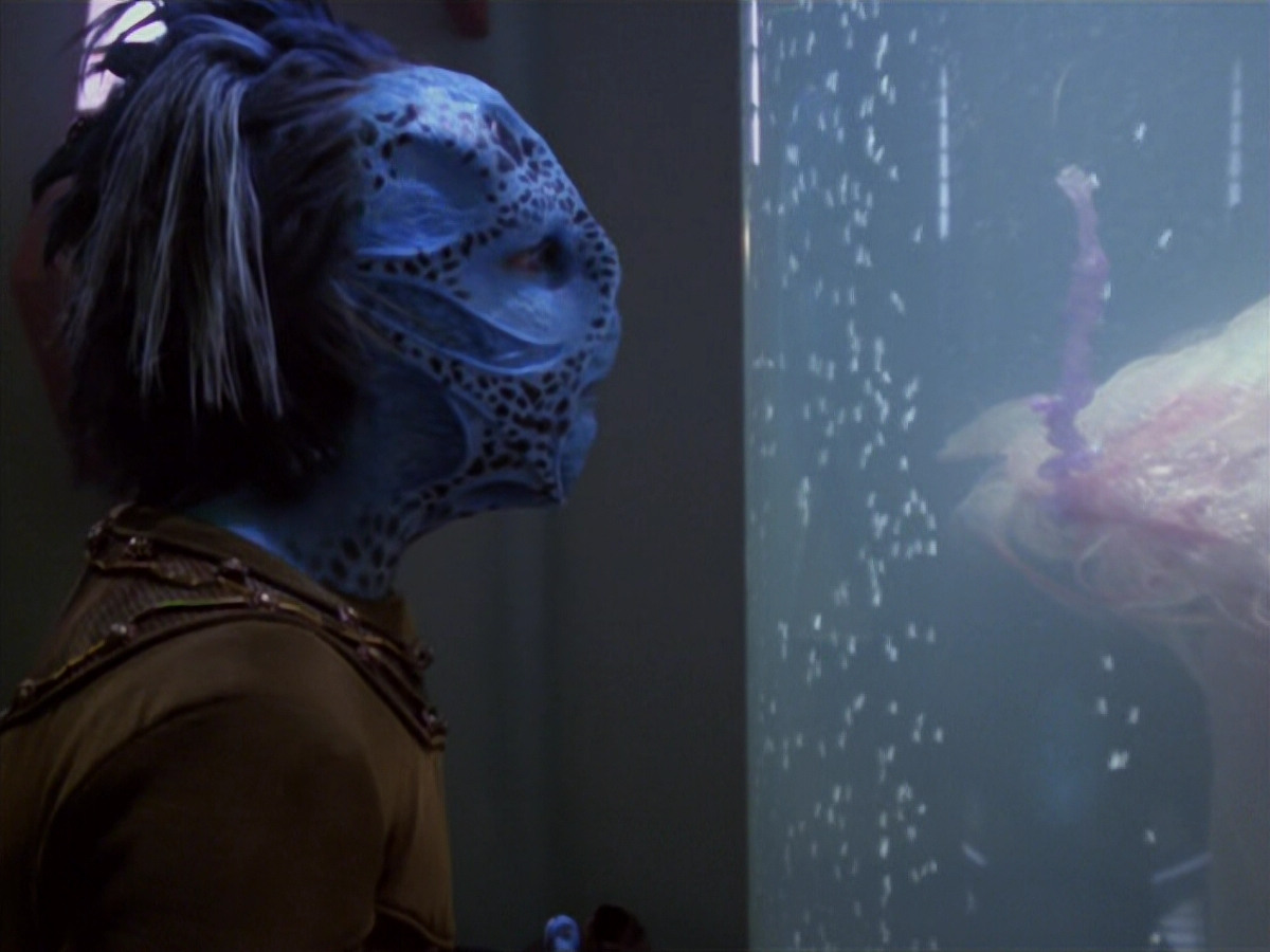 extant_StarTrek_VOY_5x20-ThinkTank_00057.jpg