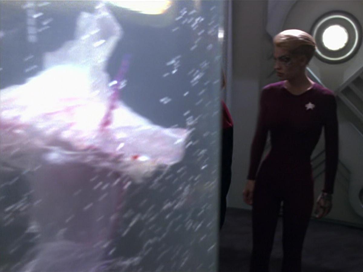 extant_StarTrek_VOY_5x20-ThinkTank_01374.jpg
