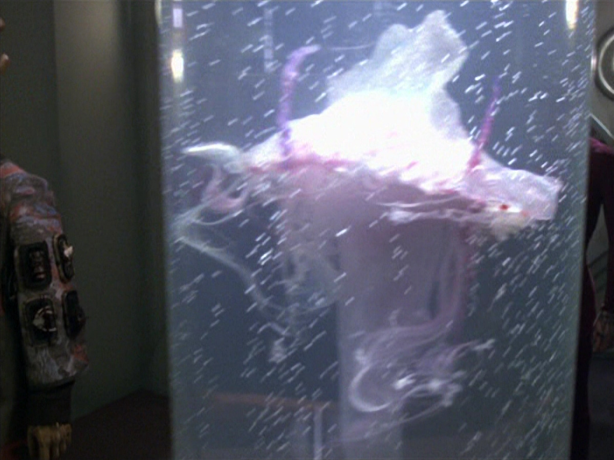 extant_StarTrek_VOY_5x20-ThinkTank_01375.jpg