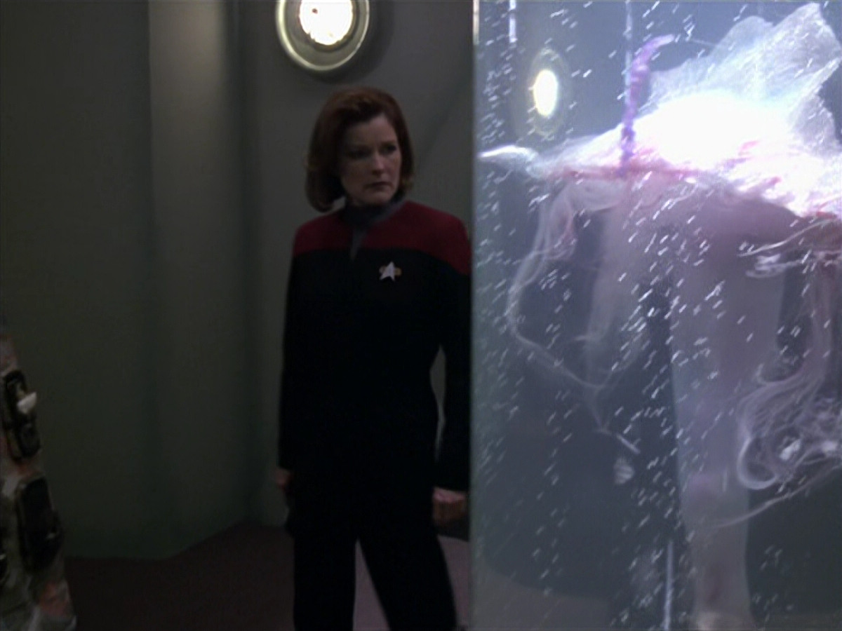 extant_StarTrek_VOY_5x20-ThinkTank_01376.jpg