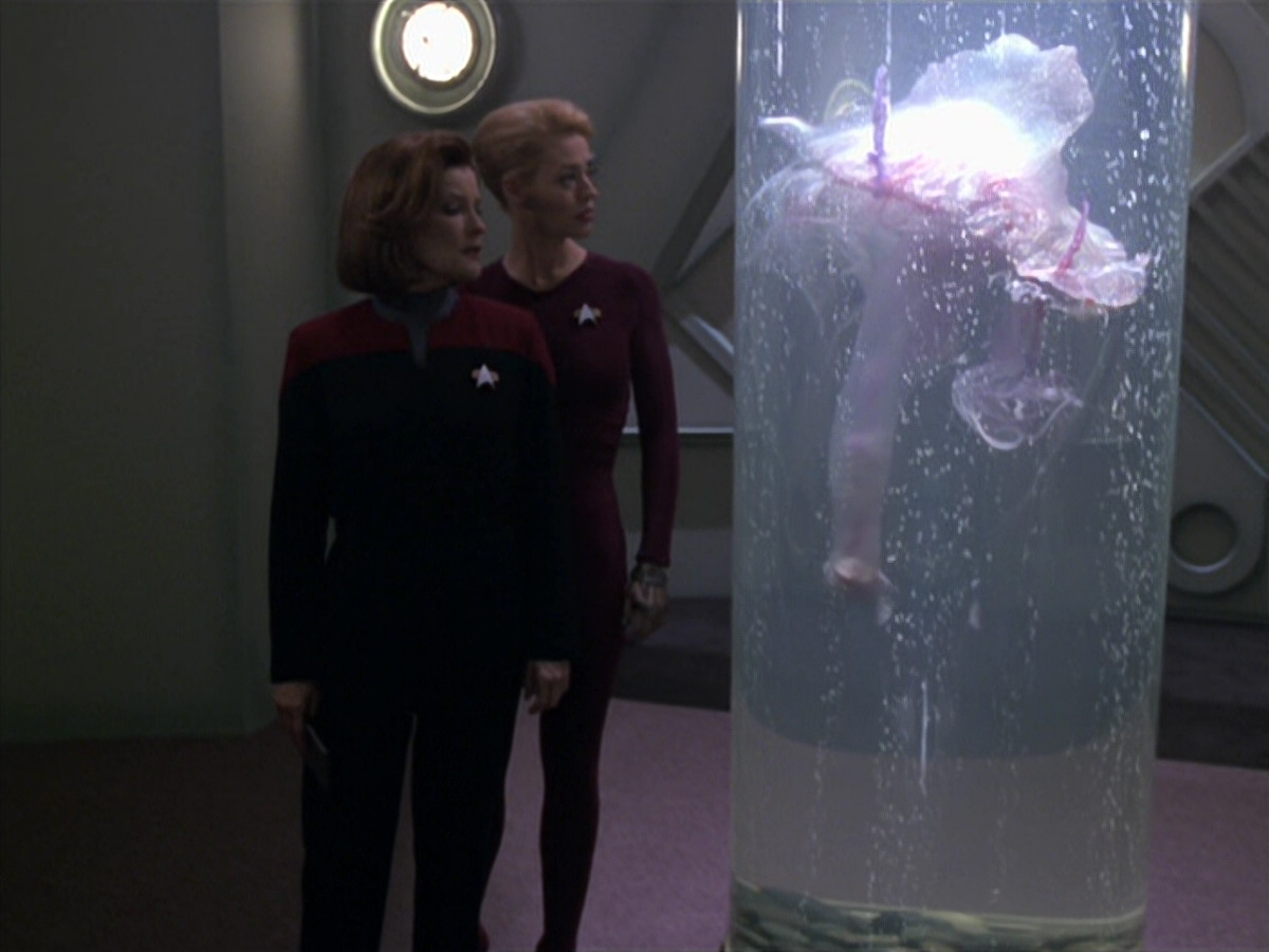 extant_StarTrek_VOY_5x20-ThinkTank_01381.jpg