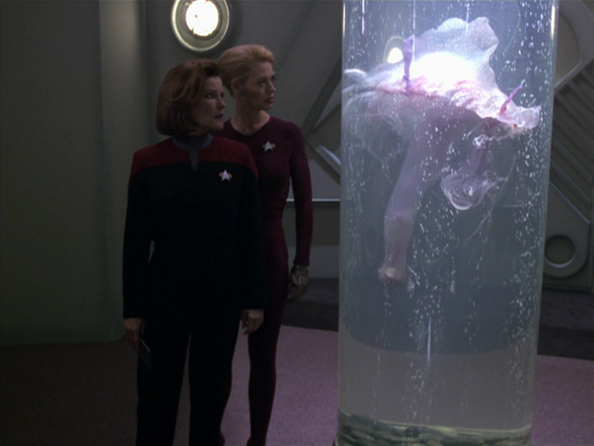extant_StarTrek_VOY_5x20-ThinkTank_01382.jpg