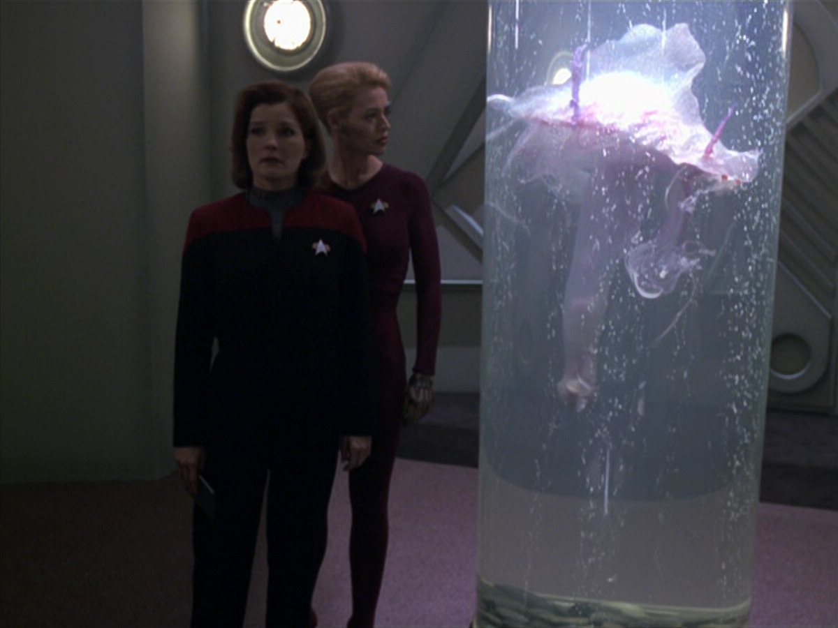 extant_StarTrek_VOY_5x20-ThinkTank_01383.jpg