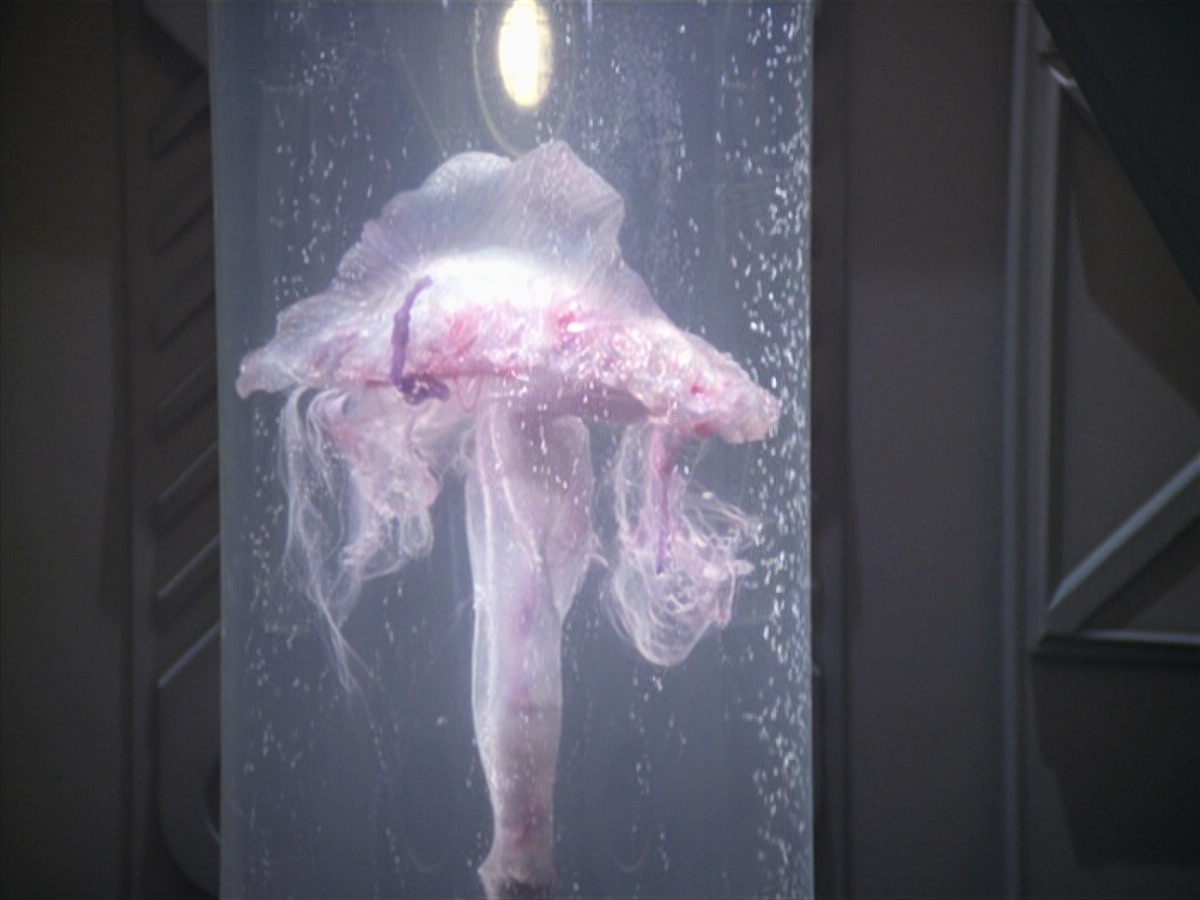 extant_StarTrek_VOY_5x20-ThinkTank_02617.jpg
