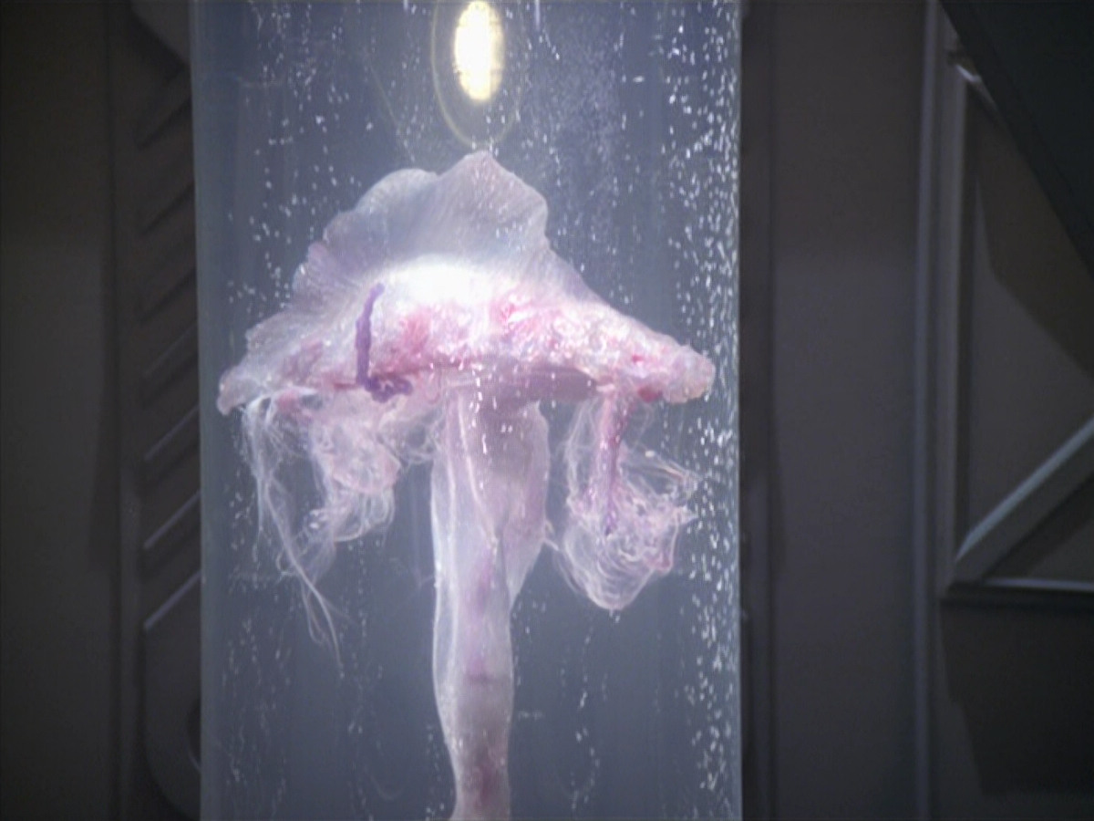 extant_StarTrek_VOY_5x20-ThinkTank_02618.jpg
