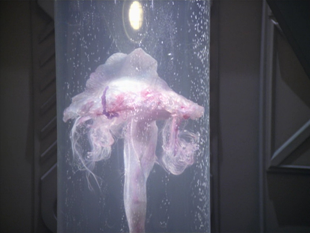 extant_StarTrek_VOY_5x20-ThinkTank_02619.jpg