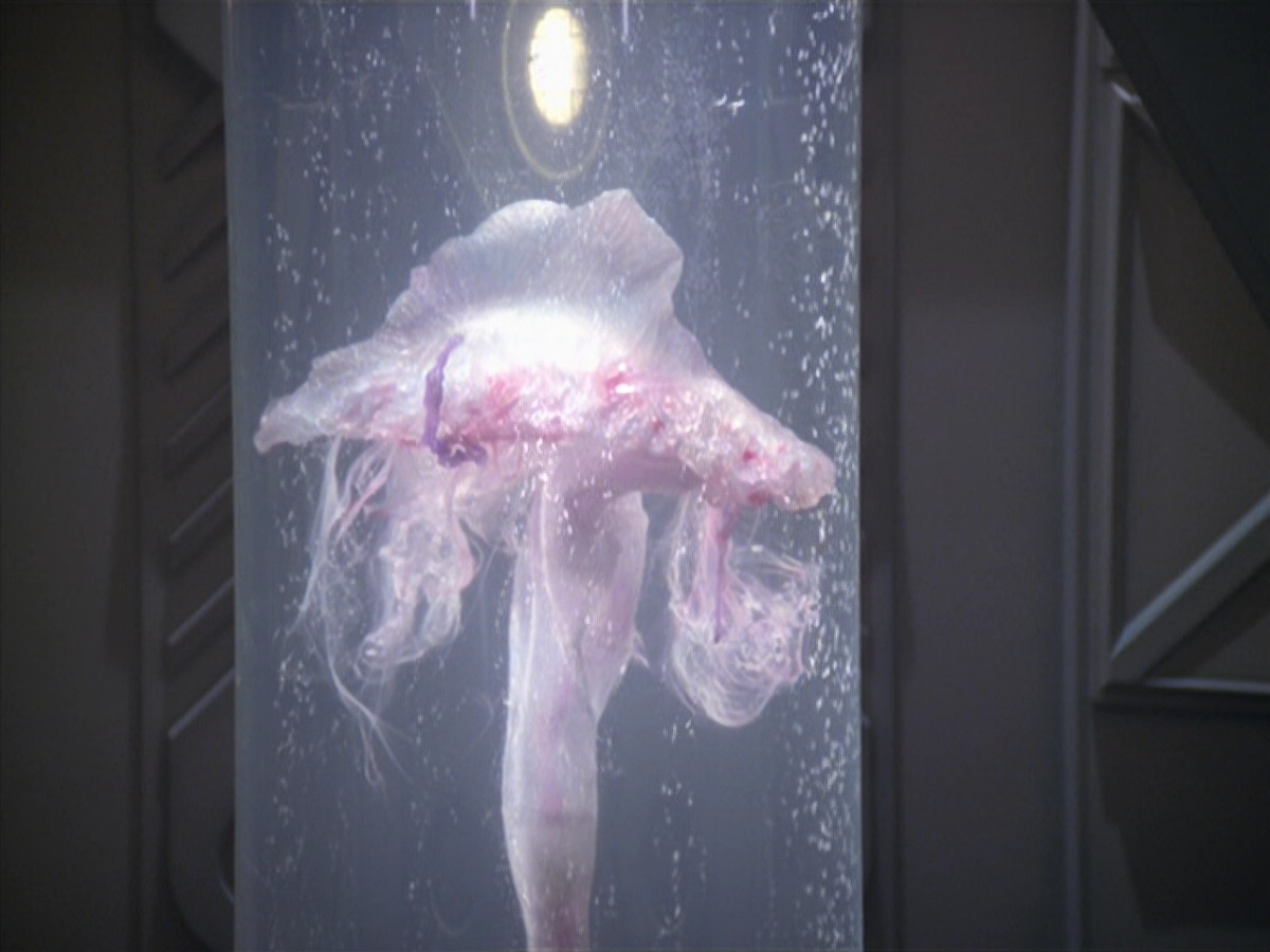 extant_StarTrek_VOY_5x20-ThinkTank_02620.jpg