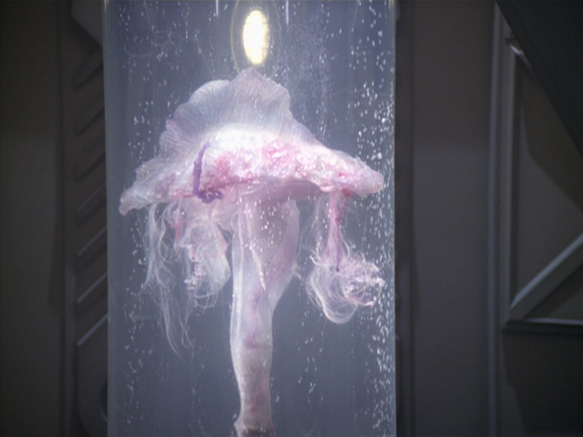 extant_StarTrek_VOY_5x20-ThinkTank_02622.jpg