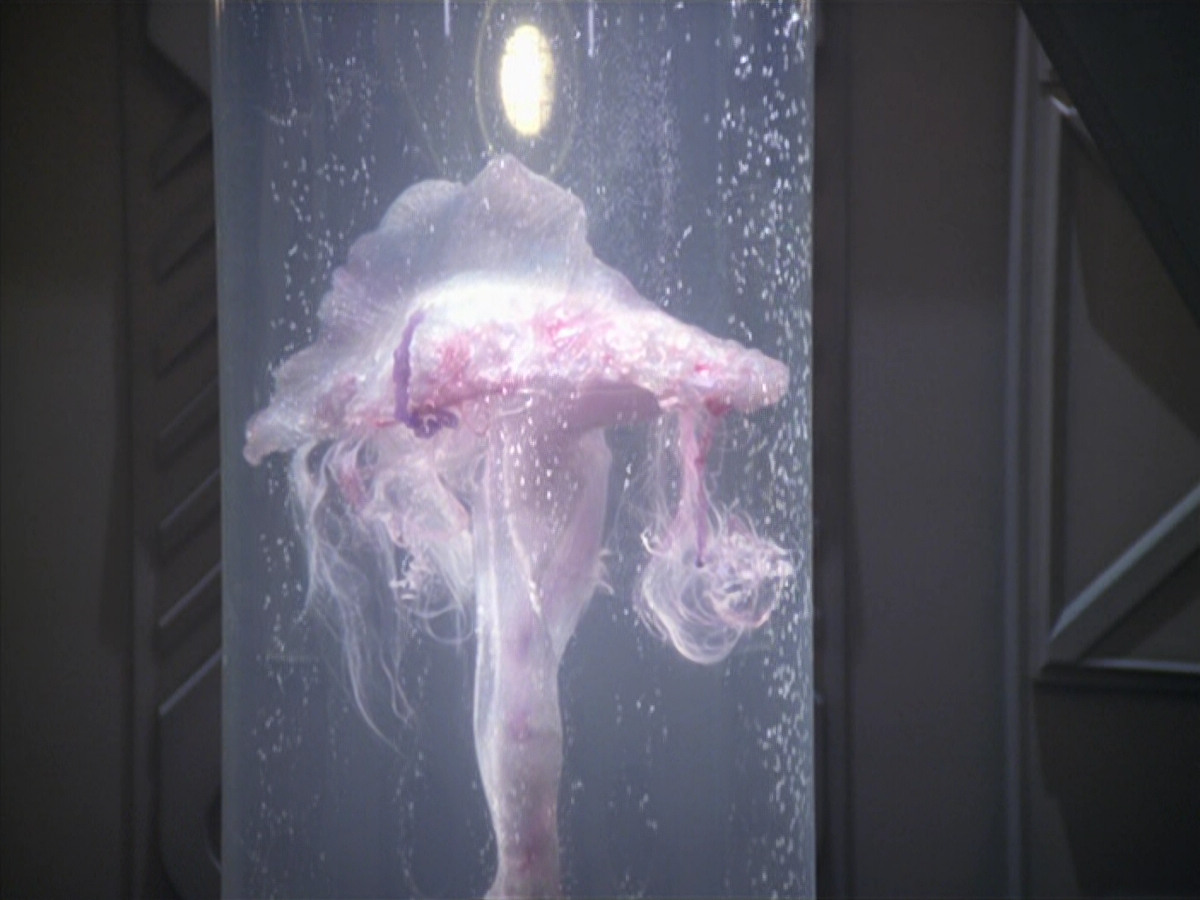 extant_StarTrek_VOY_5x20-ThinkTank_02623.jpg