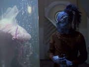 Filename=extant_StarTrek_VOY_5x20-ThinkTank_00040.jpg
Filesize=167KiB
Dimensions=1200x900
Date added=Nov 21, 2019 extant_StarTrek_VOY_5x20-ThinkTank_00040.jpg