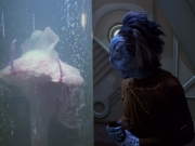 Filename=extant_StarTrek_VOY_5x20-ThinkTank_00044.jpg
Filesize=164KiB
Dimensions=1200x900
Date added=Nov 21, 2019 extant_StarTrek_VOY_5x20-ThinkTank_00044.jpg