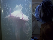 Filename=extant_StarTrek_VOY_5x20-ThinkTank_00048.jpg
Filesize=161KiB
Dimensions=1200x900
Date added=Nov 21, 2019 extant_StarTrek_VOY_5x20-ThinkTank_00048.jpg