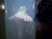 Filename=extant_StarTrek_VOY_5x20-ThinkTank_00049.jpg
Filesize=152KiB
Dimensions=1200x900
Date added=Nov 21, 2019 extant_StarTrek_VOY_5x20-ThinkTank_00049.jpg