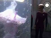 Filename=extant_StarTrek_VOY_5x20-ThinkTank_01374.jpg
Filesize=167KiB
Dimensions=1200x900
Date added=Nov 21, 2019 extant_StarTrek_VOY_5x20-ThinkTank_01374.jpg