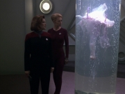 Filename=extant_StarTrek_VOY_5x20-ThinkTank_01379.jpg
Filesize=152KiB
Dimensions=1200x900
Date added=Nov 21, 2019 extant_StarTrek_VOY_5x20-ThinkTank_01379.jpg