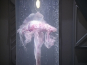 extant_StarTrek_VOY_5x20-ThinkTank_02618.jpg
