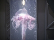 Filename=extant_StarTrek_VOY_5x20-ThinkTank_02619.jpg
Filesize=163KiB
Dimensions=1200x900
Date added=Nov 21, 2019 extant_StarTrek_VOY_5x20-ThinkTank_02619.jpg