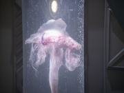 Filename=extant_StarTrek_VOY_5x20-ThinkTank_02620.jpg
Filesize=161KiB
Dimensions=1200x900
Date added=Nov 21, 2019 extant_StarTrek_VOY_5x20-ThinkTank_02620.jpg