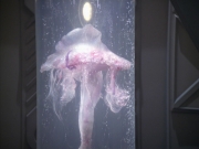 Filename=extant_StarTrek_VOY_5x20-ThinkTank_02621.jpg
Filesize=162KiB
Dimensions=1200x900
Date added=Nov 21, 2019 extant_StarTrek_VOY_5x20-ThinkTank_02621.jpg