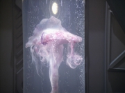 Filename=extant_StarTrek_VOY_5x20-ThinkTank_02623.jpg
Filesize=163KiB
Dimensions=1200x900
Date added=Nov 21, 2019 extant_StarTrek_VOY_5x20-ThinkTank_02623.jpg