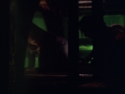 Filename=extant_StarTrek_VOY_5x21-Juggernaut_01789.jpg
Filesize=113KiB
Dimensions=1200x900
Date added=Nov 21, 2019 extant_StarTrek_VOY_5x21-Juggernaut_01789.jpg