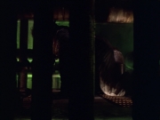 Filename=extant_StarTrek_VOY_5x21-Juggernaut_01837.jpg
Filesize=115KiB
Dimensions=1200x900
Date added=Nov 21, 2019 extant_StarTrek_VOY_5x21-Juggernaut_01837.jpg
