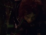 Filename=extant_StarTrek_VOY_5x21-Juggernaut_01863.jpg
Filesize=120KiB
Dimensions=1200x900
Date added=Nov 21, 2019 extant_StarTrek_VOY_5x21-Juggernaut_01863.jpg