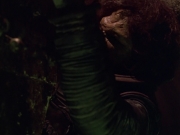 Filename=extant_StarTrek_VOY_5x21-Juggernaut_01897.jpg
Filesize=127KiB
Dimensions=1200x900
Date added=Nov 21, 2019 extant_StarTrek_VOY_5x21-Juggernaut_01897.jpg